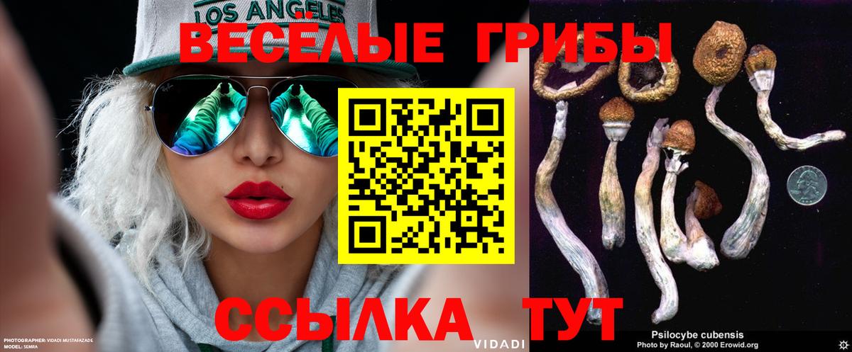 Сосновоборск  Псилоцибиновые грибы мухоморы  Вход с VPN  Псилоцибиновые грибы мицелий 